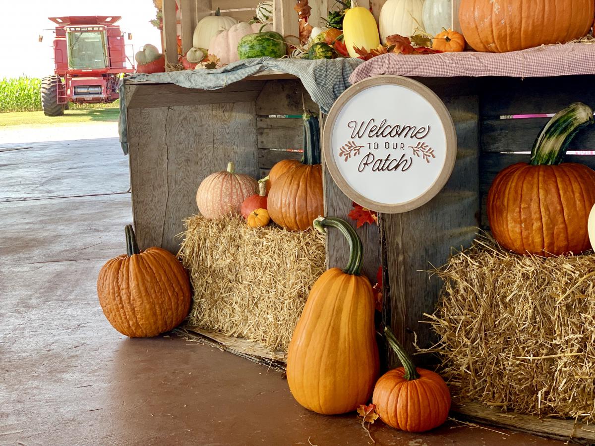 A Real Fall Highlight Brookfield Farms Pumpkin Patch! Links Bridge